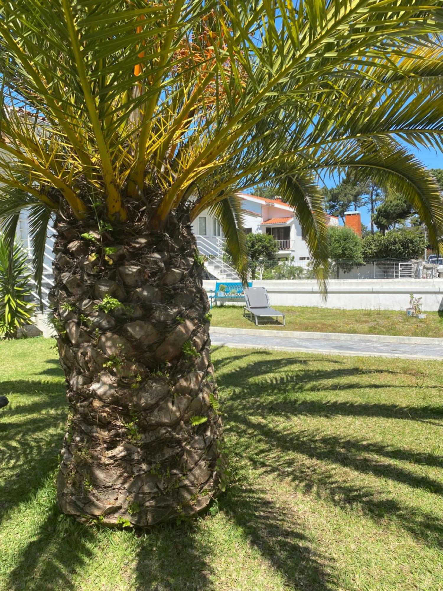 Itaca Experience Playa Do Cabedelo Apartment Viana do Castelo Exterior photo